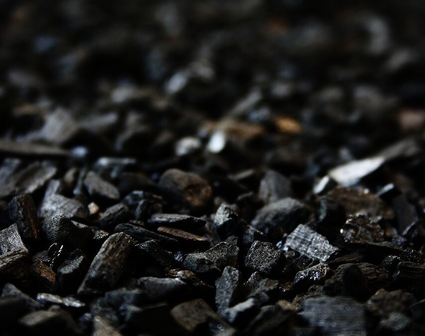 Carvão Ativado